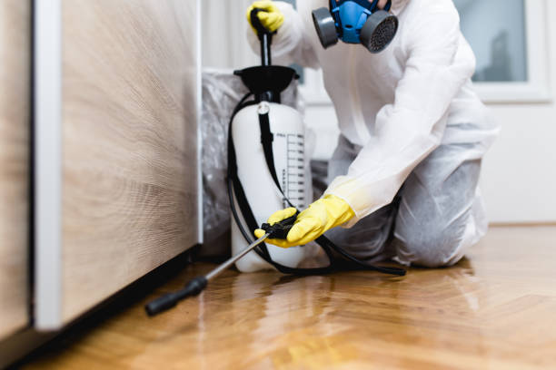 Best Exterminator Services  in Windber, PA
