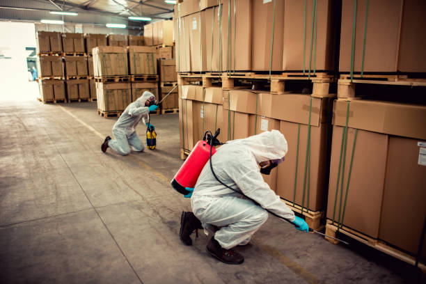 Best Pest Removal Services  in Windber, PA