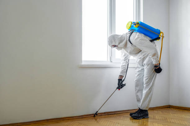 Best Termite Control Services  in Windber, PA