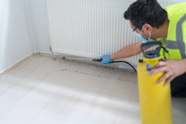 Best Cockroach Control Services  in Windber, PA